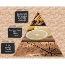 Pyramide olfactive - M1