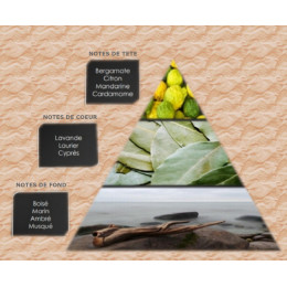 Pyramide olfactive - M2