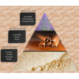 Pyramide olfactive - M3