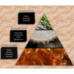 Pyramide olfactive - M4