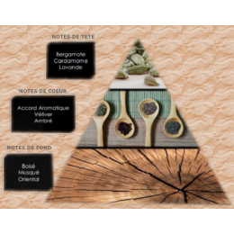 Pyramide olfactive - M5