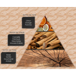 Pyramide olfactive - M7