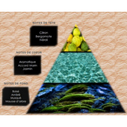 Pyramide olfactive - M10