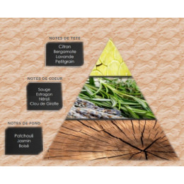 Pyramide olfactive - M11