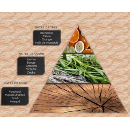 Pyramide olfactive - M12