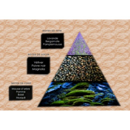Pyramide olfactive - M13