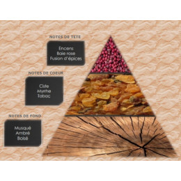 Pyramide olfactive - M14
