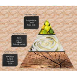 Pyramide olfactive - M16