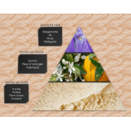 Pyramide olfactive - W1