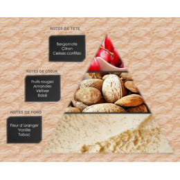 Pyramide olfactive - W2