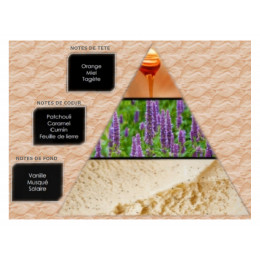 Pyramide olfactive - W3