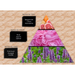 Pyramide olfactive - W7