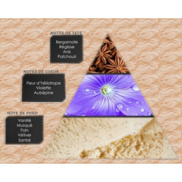 Pyramide olfactive - W8