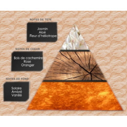 Pyramide olfactive - W9