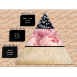 Pyramide olfactive - W10