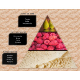 Pyramide olfactive - W11