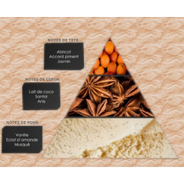 Pyramide olfactive - W13