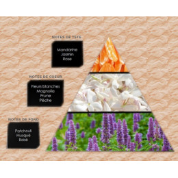 Pyramide olfactive - W15