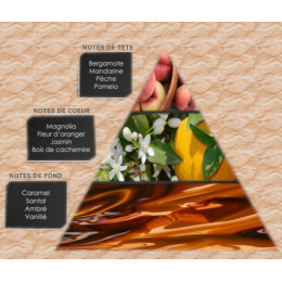 Pyramide olfactive - W16