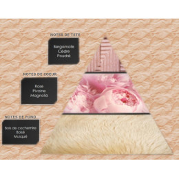 Pyramide olfactive - W17