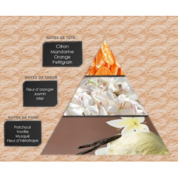 Pyramide olfactive - W18
