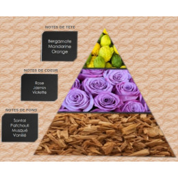 Pyramide olfactive - W19