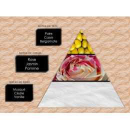 Pyramide olfactive - W21