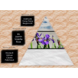 Pyramide olfactive - W22