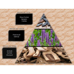 Pyramide olfactive - W23