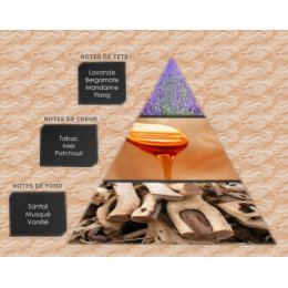 Pyramide olfactive - W25