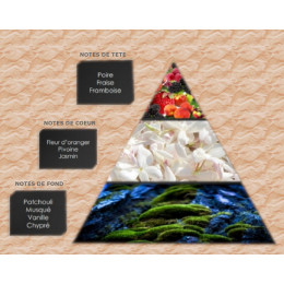 Pyramide olfactive - W26
