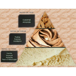 Pyramide olfactive délice de macaron