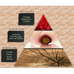 Pyramide olfactive fleurs de cerisier