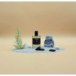 PARFUM HOMME INFLUENCE M8 – Voyage autour du monde