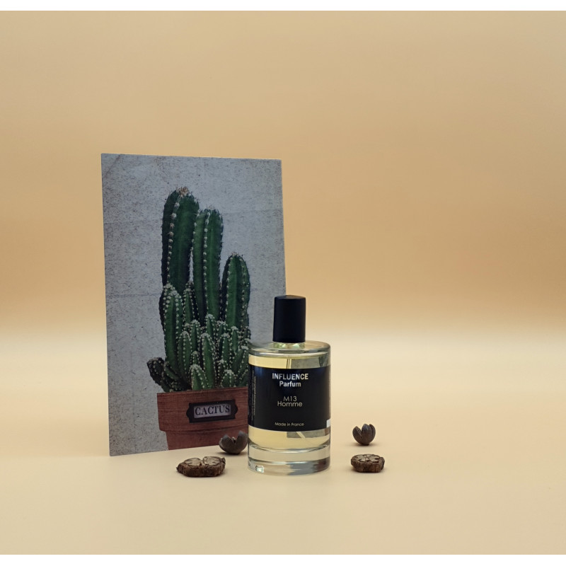 PARFUM HOMME INFLUENCE M13 – Aventurier