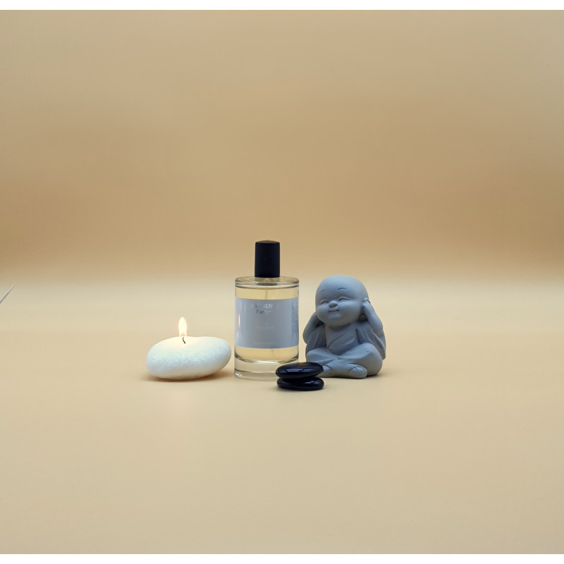 PARFUM FEMME INFLUENCE W6 – Mystérieuse