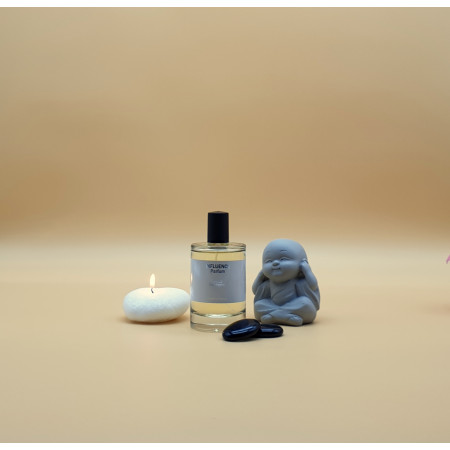 PARFUM FEMME INFLUENCE W25 – Mystérieuse