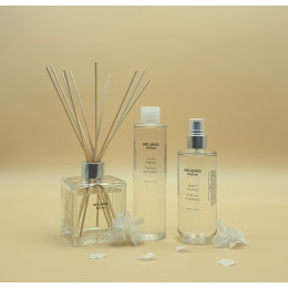 INFLUENCE DUO INTÉRIEUR JASMIN INTENSE