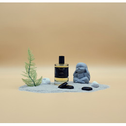 PARFUM HOMME INFLUENCE M16 – Voyage autour du monde