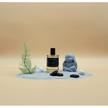 PARFUM HOMME INFLUENCE M16 – Voyage autour du monde