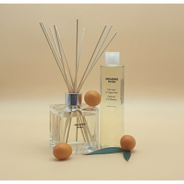 INFLUENCE DIFFUSEUR INTERIEUR THÉ VERT & AGRUMES